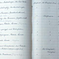 bu-00001_bis_10-0 katalog band01 waffen keule